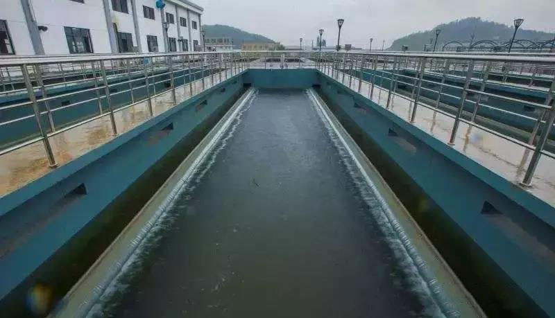 1563755787905609.jpg 1.jpg